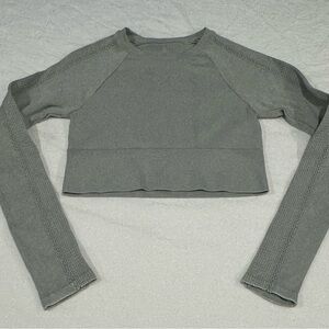 Offline by Aerie Big Chill Seamless Long Sleeve Crop Top in Grey/Stone